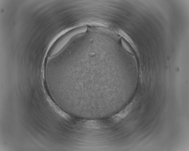 X0000081311028200701251738