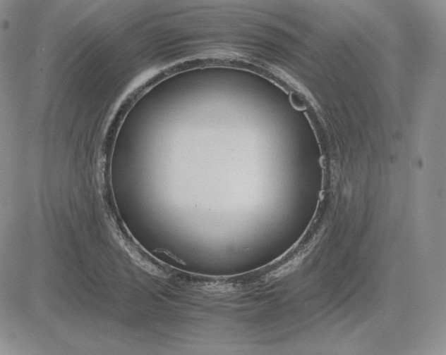 X0000081311029200701251738