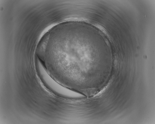 X0000081311030200701251738