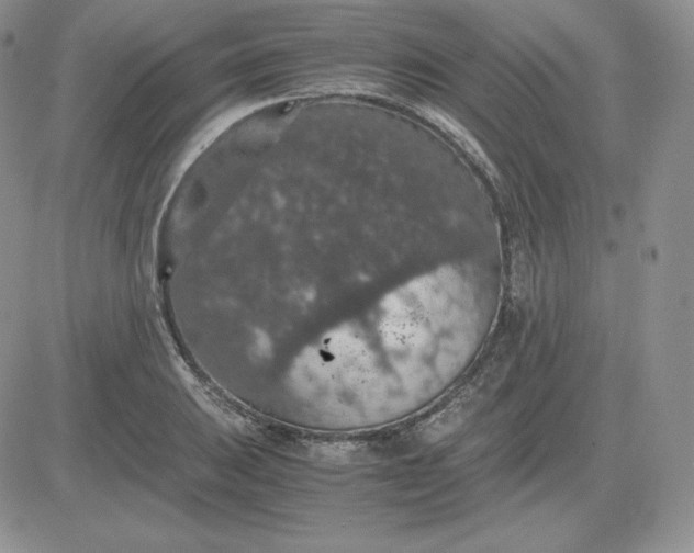 X0000081311031200701251738