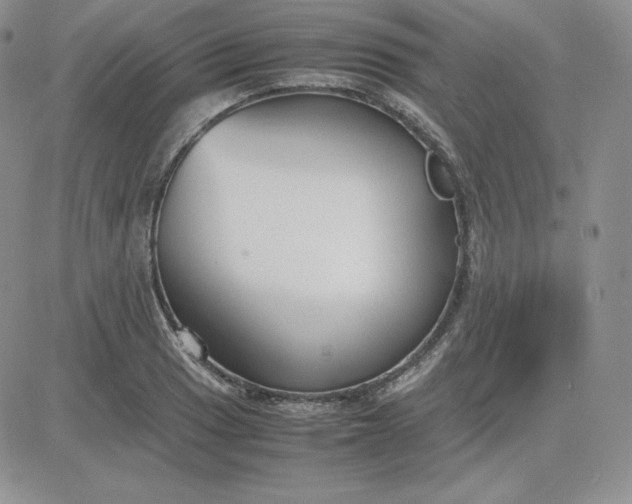 X0000081311033200701251738