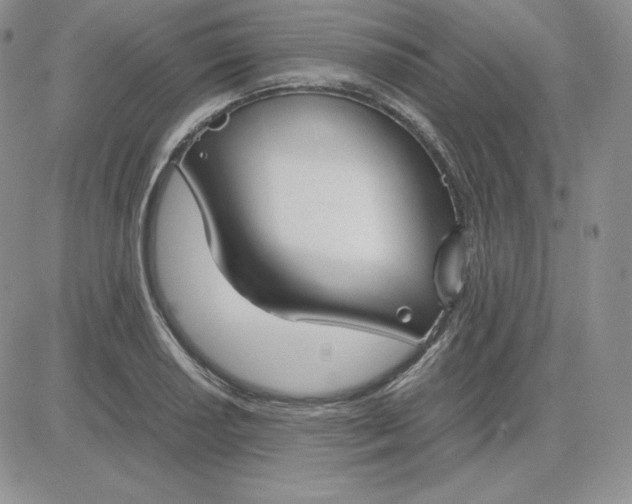 X0000081311034200701251738