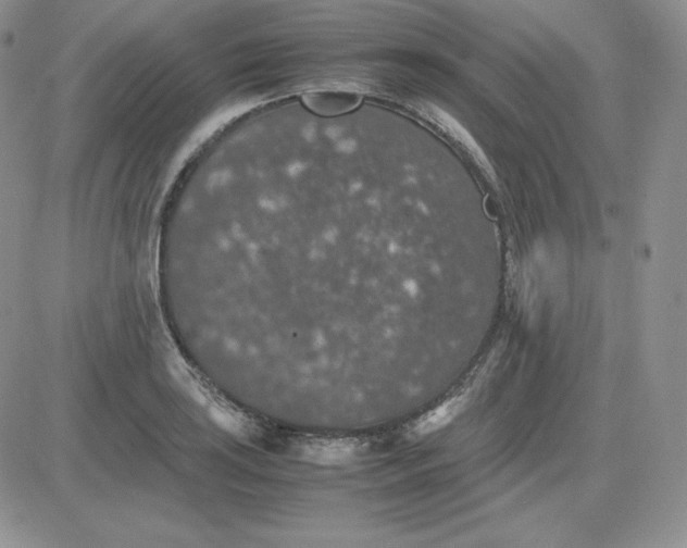 X0000081311035200701251738