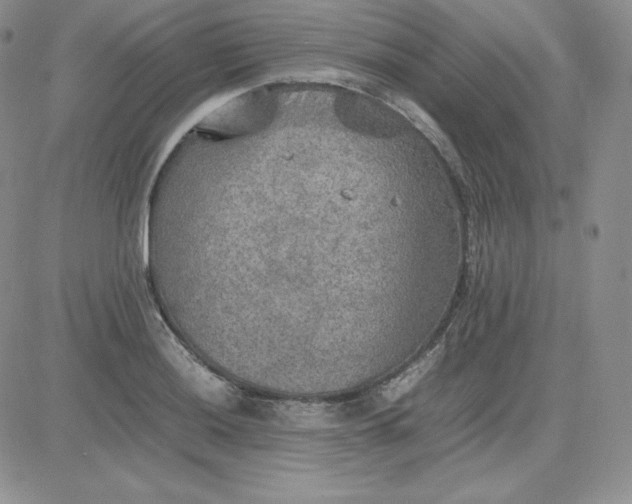 X0000081311036200701251738