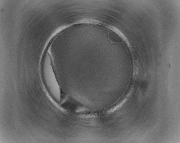 X0000081311037200701251738