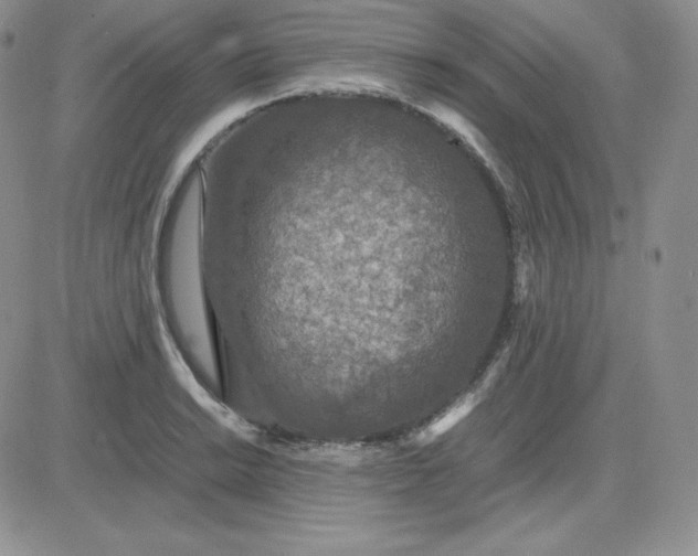 X0000081311038200701251738