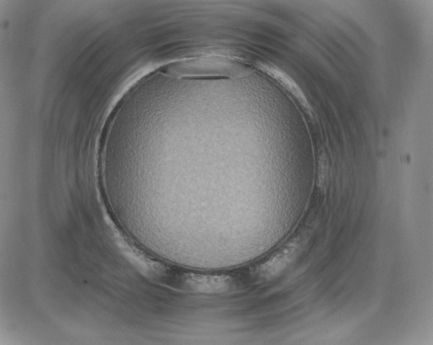 X0000081311039200701251738