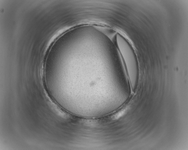 X0000081311040200701251738