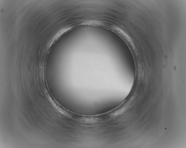 X0000081311041200701251738