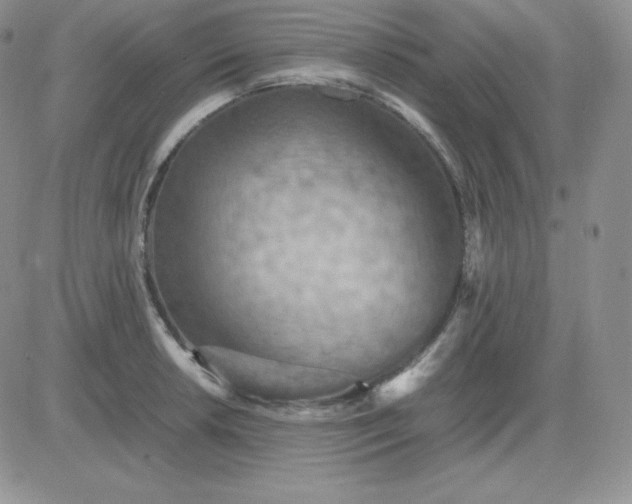 X0000081311042200701251738