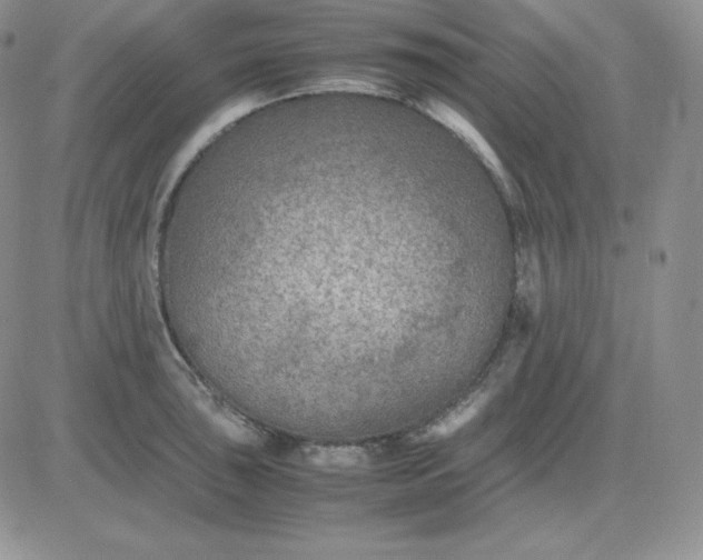 X0000081311043200701251738