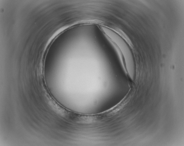 X0000081311044200701251738