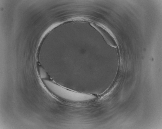 X0000081311045200701251738