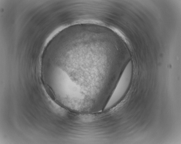 X0000081311046200701251738