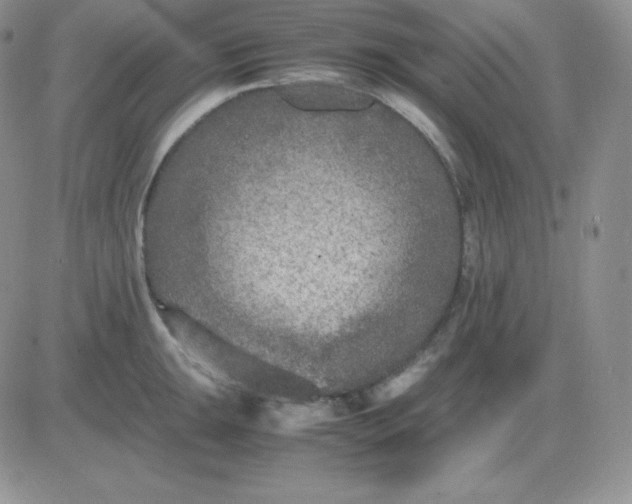 X0000081311047200701251738