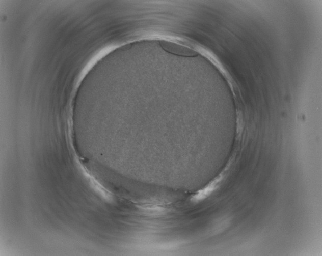 X0000081311048200701251738