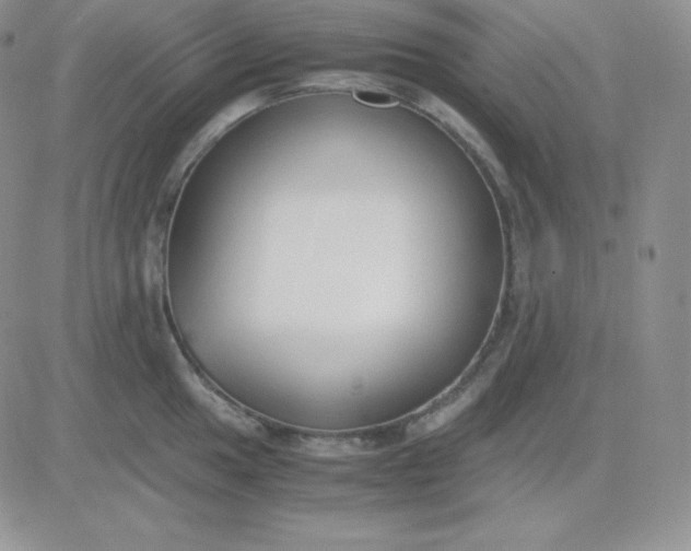 X0000081311049200701251738