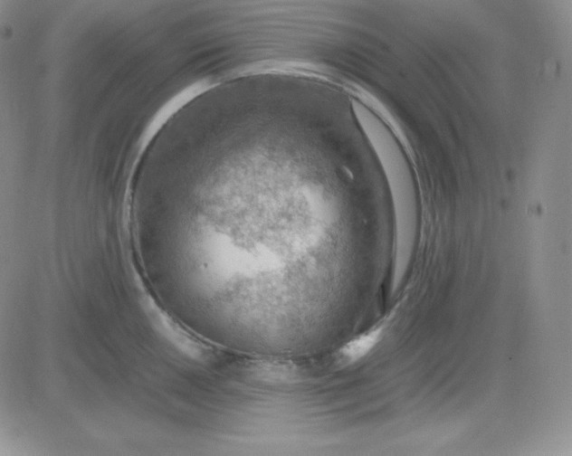 X0000081311050200701251738