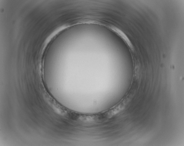 X0000081311051200701251738