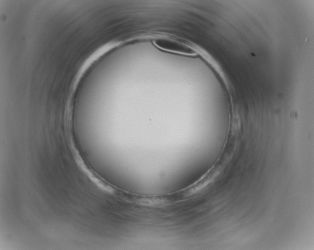 X0000081311053200701251738