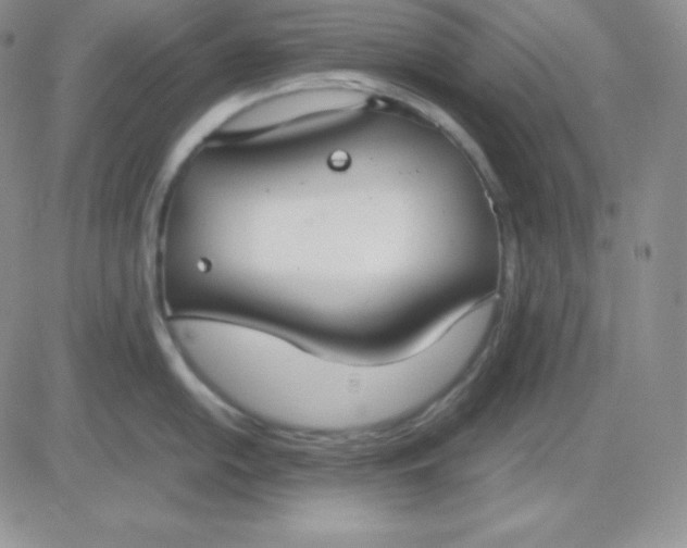 X0000081311054200701251738