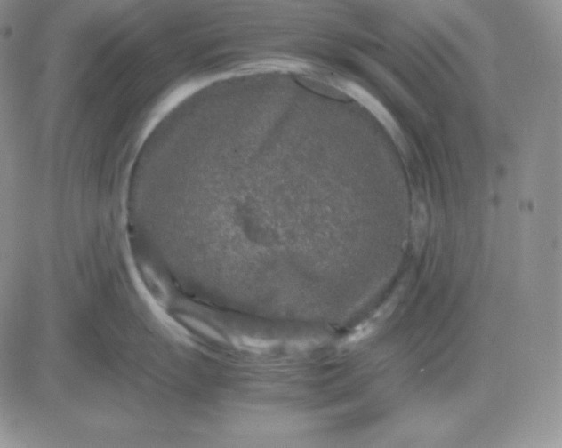 X0000081311055200701251738