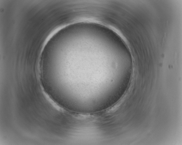 X0000081311056200701251738