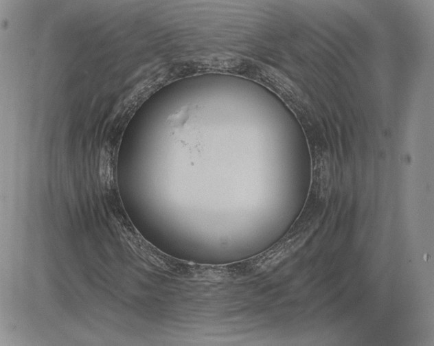 X0000081311058200701251737