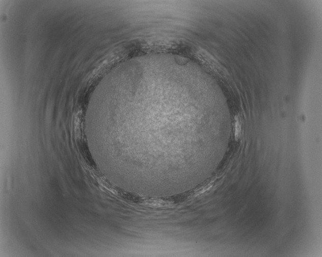 X0000081311059200701251737