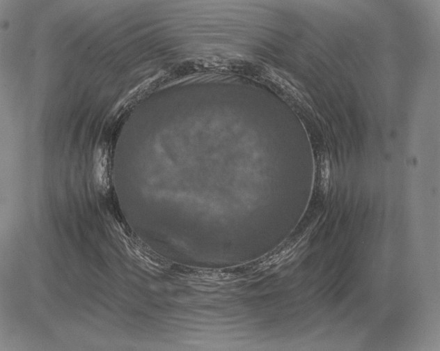 X0000081311060200701251737