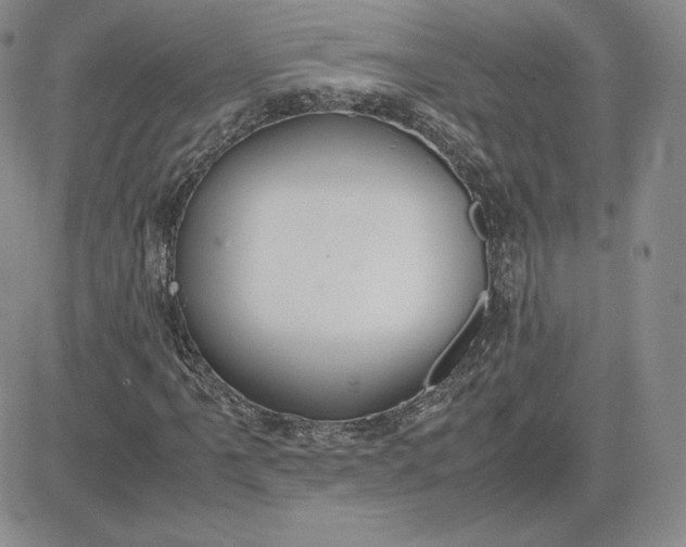 X0000081311061200701251737