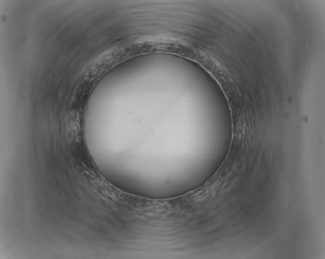 X0000081311062200701251737