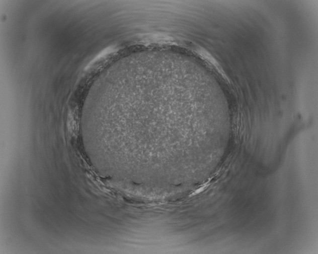 X0000081311063200701251737