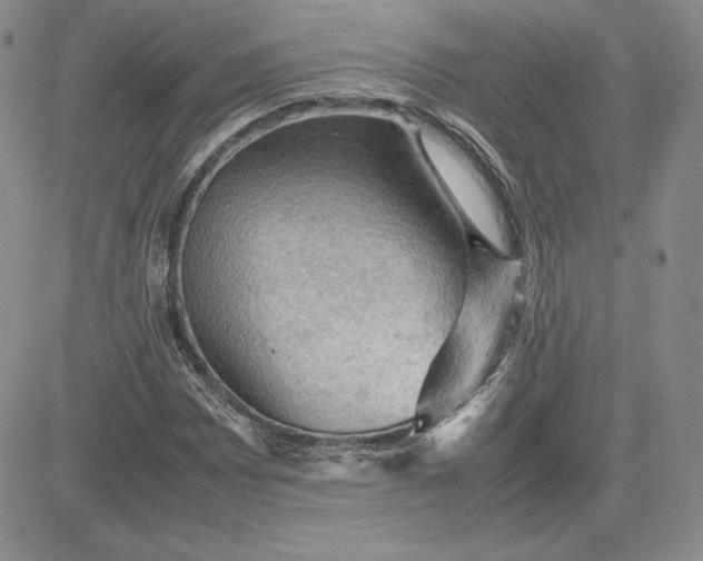 X0000081311065200701251737