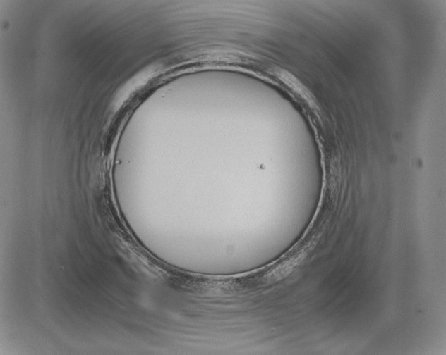 X0000081311067200701251737