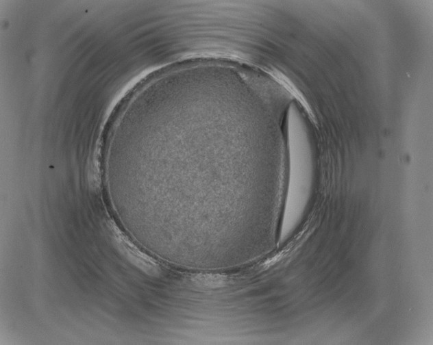 X0000081311068200701251737