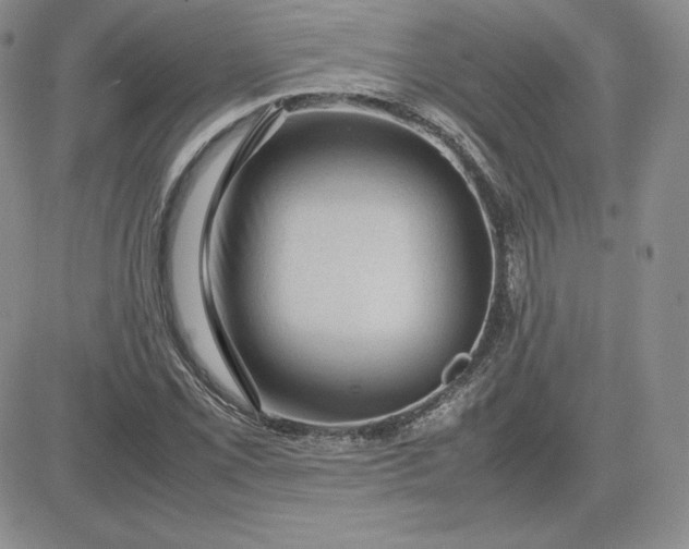 X0000081311069200701251737