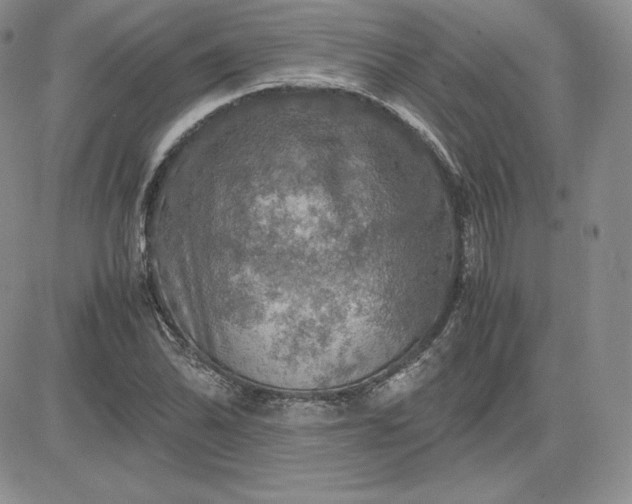 X0000081311070200701251737