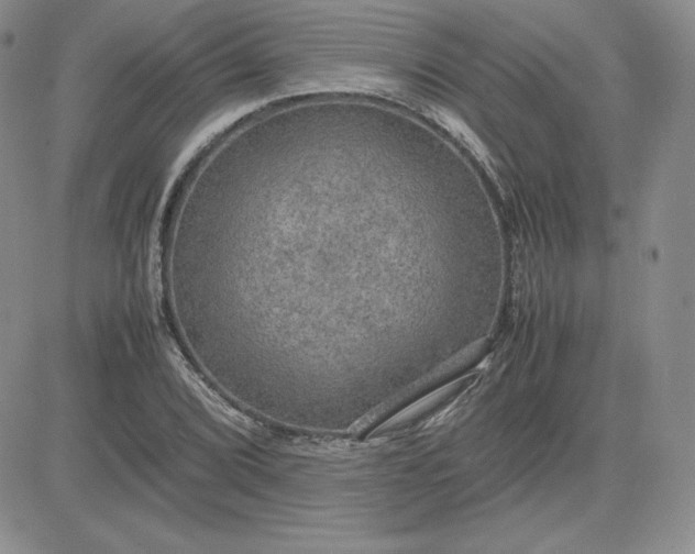 X0000081311072200701251737