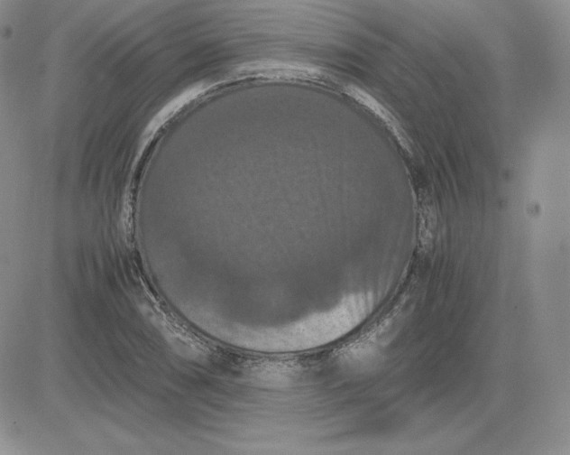 X0000081311074200701251737