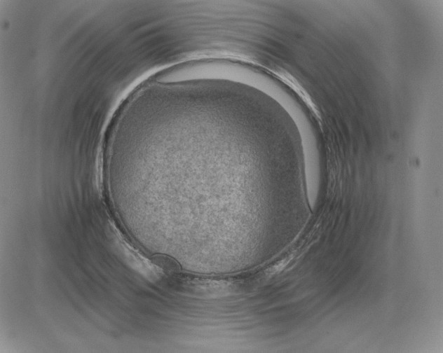 X0000081311076200701251737