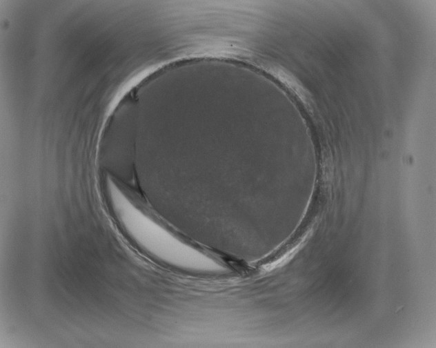 X0000081311077200701251737