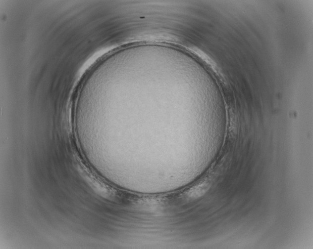 X0000081311078200701251737