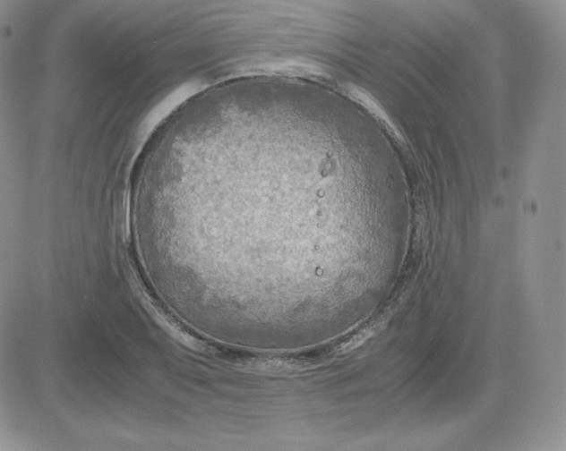 X0000081311079200701251737