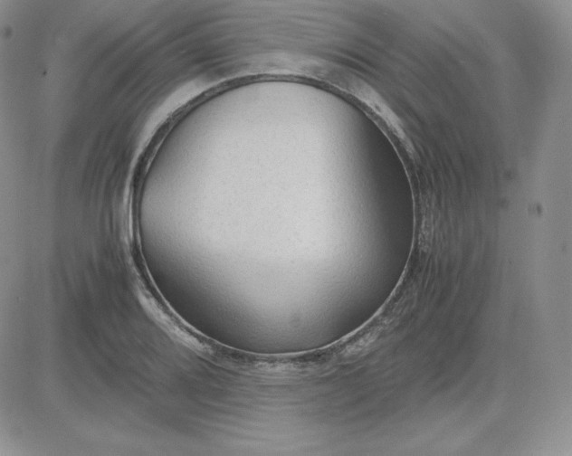 X0000081311080200701251737