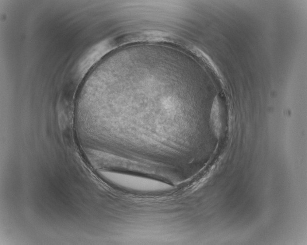 X0000081311081200701251737