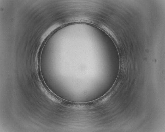 X0000081311082200701251737