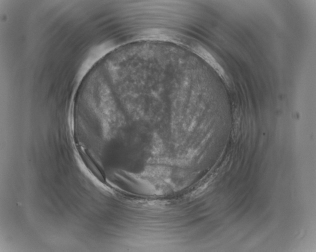 X0000081311084200701251737