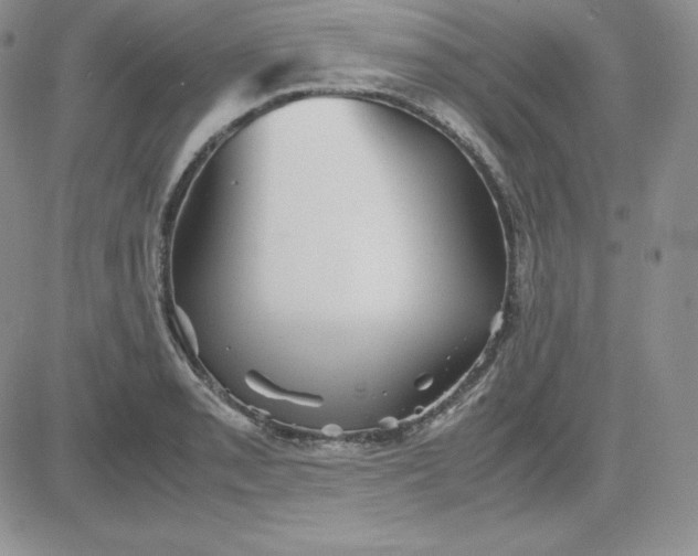 X0000081311085200701251737