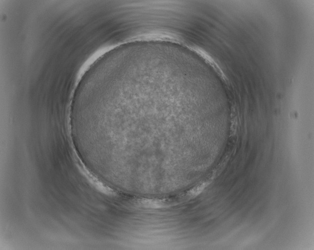 X0000081311086200701251737